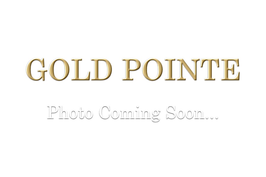 Meeting Minutes January 17, 2024